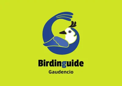Bridinguide